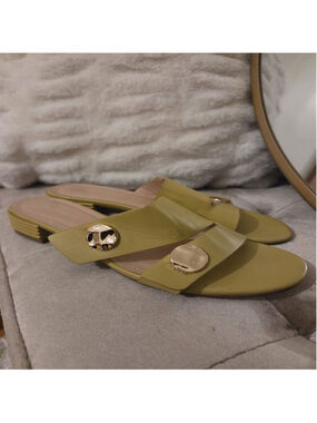 Venus Steps Green & Gold Flat Sandals Size 38 or 7.5